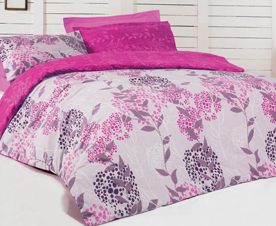 اطلاعاتی درباره انواع روتختی