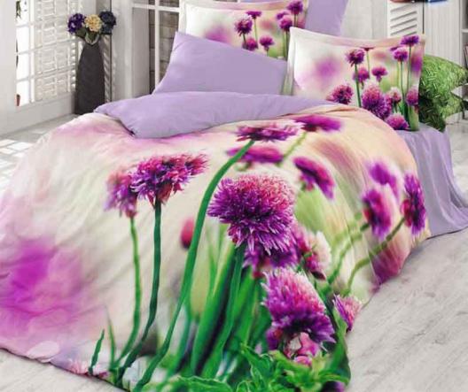 تولیدکننده روتختی طرح سپنتا